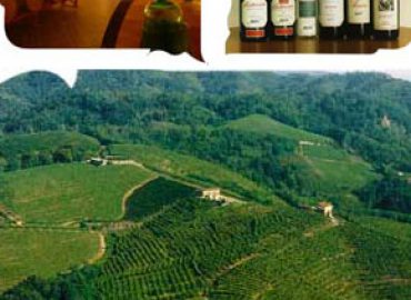 Azienda Vitivinicola Nervi srl