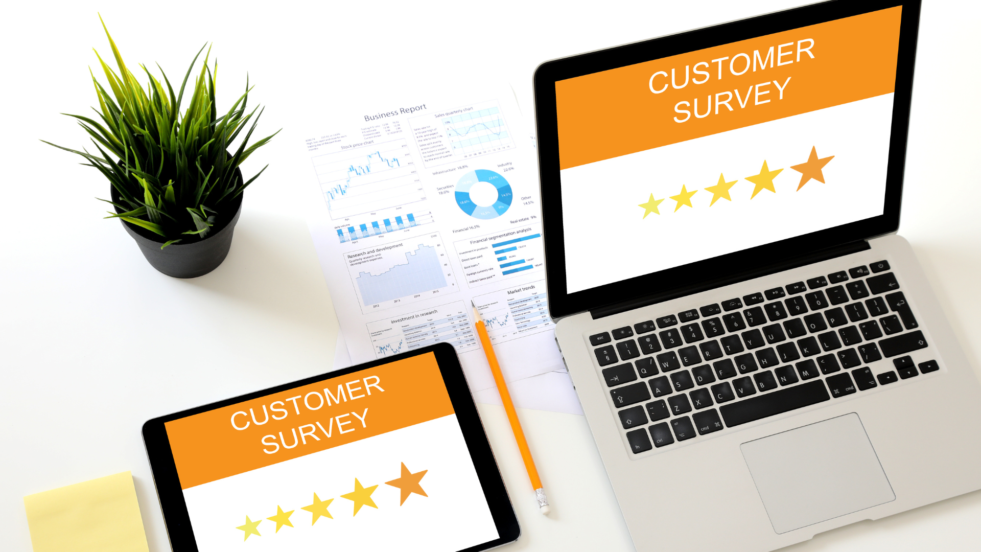 customer experience newsletter